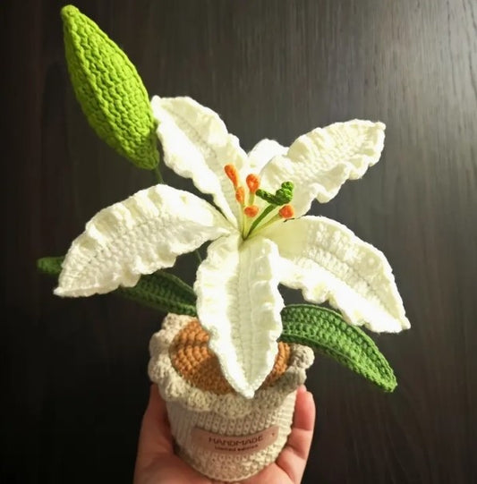 Crochet Potted White Lily