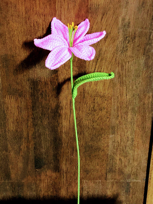 Crochet Pink Lily